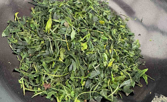 What are the properties of matcha tea and its benefits?